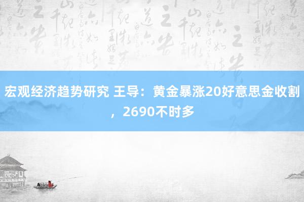 宏观经济趋势研究 王导：黄金暴涨20好意思金收割，2690不时多