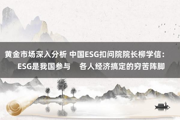 黄金市场深入分析 中国ESG扣问院院长柳学信：    ESG是我国参与    各人经济搞定的穷苦阵脚