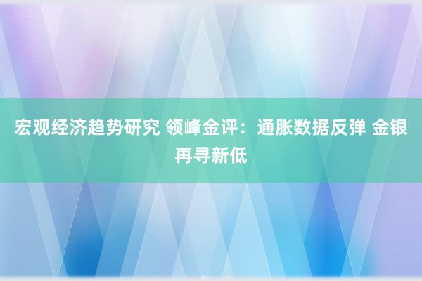 宏观经济趋势研究 领峰金评：通胀数据反弹 金银再寻新低