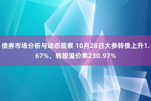 债券市场分析与动态观察 10月28日大参转债上升1.67%，转股溢价率230.97%