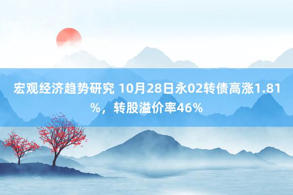 宏观经济趋势研究 10月28日永02转债高涨1.81%，转股溢价率46%