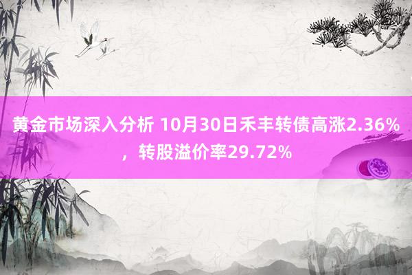 黄金市场深入分析 10月30日禾丰转债高涨2.36%，转股溢价率29.72%