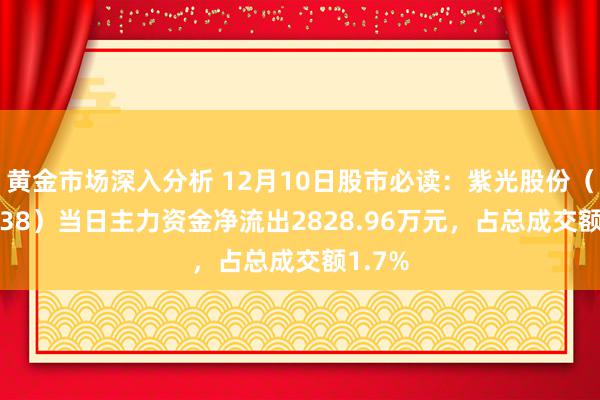 黄金市场深入分析 12月10日股市必读：紫光股份（000938）当日主力资金净流出2828.96万元，占总成交额1.7%