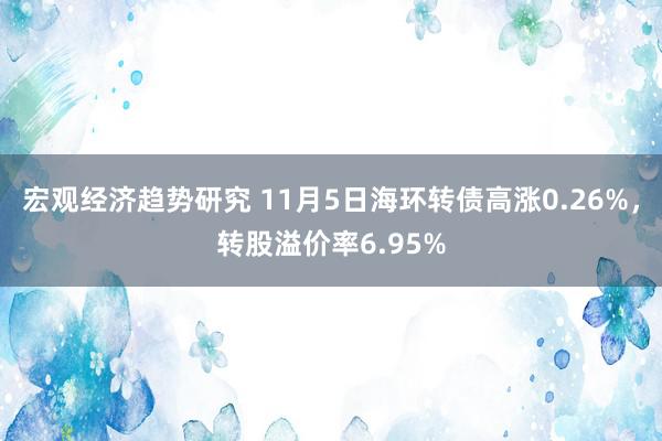 宏观经济趋势研究 11月5日海环转债高涨0.26%，转股溢价率6.95%