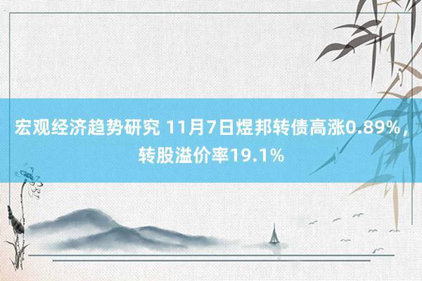 宏观经济趋势研究 11月7日煜邦转债高涨0.89%，转股溢价率19.1%