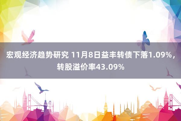 宏观经济趋势研究 11月8日益丰转债下落1.09%，转股溢价率43.09%