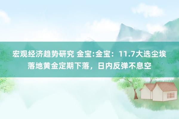 宏观经济趋势研究 金宝:金宝：11.7大选尘埃落地黄金定期下落，日内反弹不息空