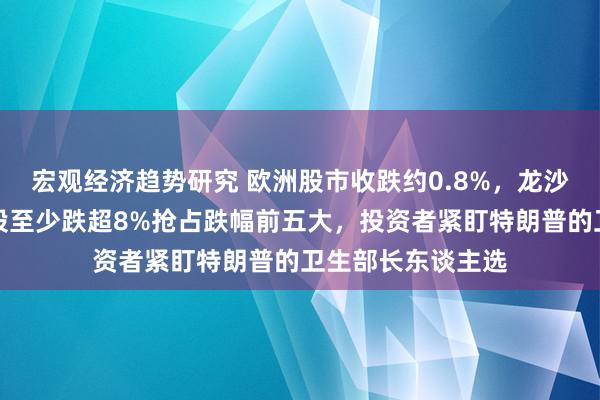 宏观经济趋势研究 欧洲股市收跌约0.8%，龙沙集团等五只因素股至少跌超8%抢占跌幅前五大，投资者紧盯特朗普的卫生部长东谈主选