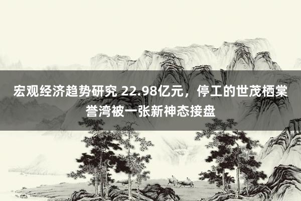 宏观经济趋势研究 22.98亿元，停工的世茂栖棠誉湾被一张新神态接盘