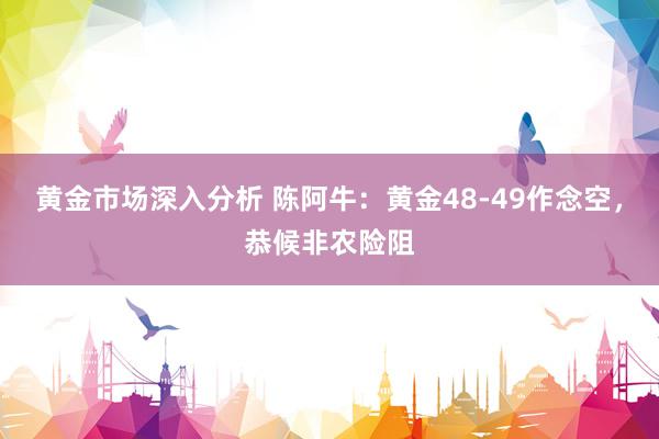 黄金市场深入分析 陈阿牛：黄金48-49作念空，恭候非农险阻