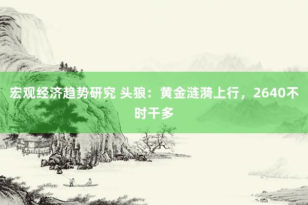 宏观经济趋势研究 头狼：黄金涟漪上行，2640不时干多