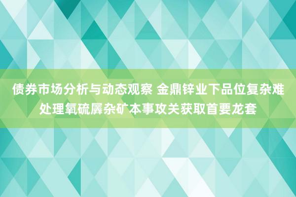 债券市场分析与动态观察 金鼎锌业下品位复杂难处理氧硫羼杂矿本事攻关获取首要龙套