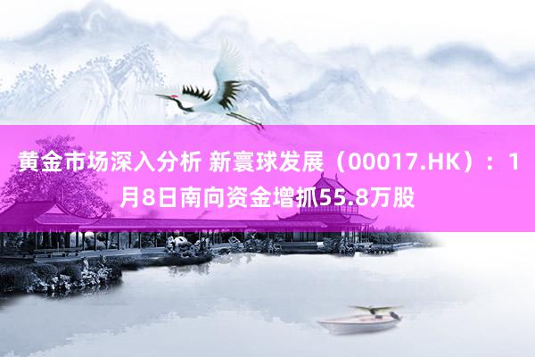 黄金市场深入分析 新寰球发展（00017.HK）：1月8日南向资金增抓55.8万股