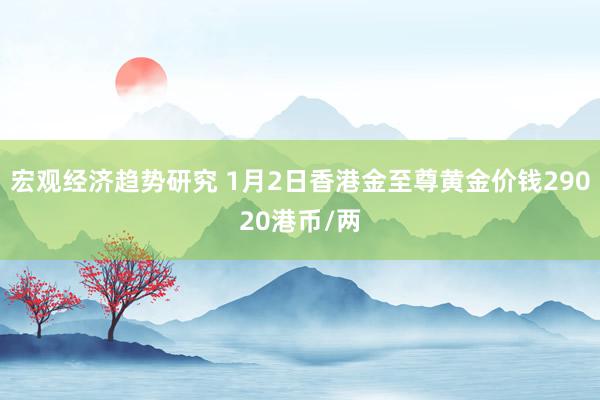 宏观经济趋势研究 1月2日香港金至尊黄金价钱29020港币/两