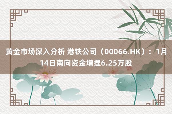 黄金市场深入分析 港铁公司（00066.HK）：1月14日南向资金增捏6.25万股