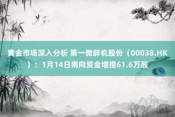 黄金市场深入分析 第一微辞机股份（00038.HK）：1月14日南向资金增捏61.6万股