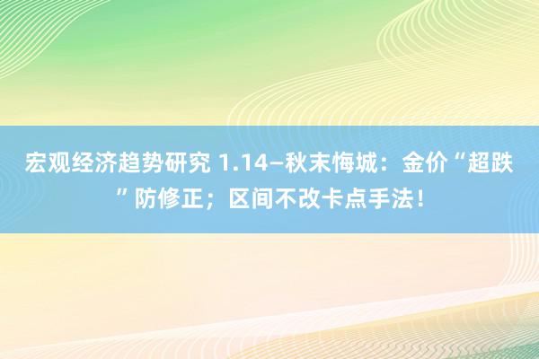 宏观经济趋势研究 1.14—秋末悔城：金价“超跌”防修正；区间不改卡点手法！