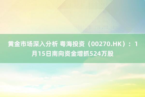 黄金市场深入分析 粤海投资（00270.HK）：1月15日南向资金增抓524万股