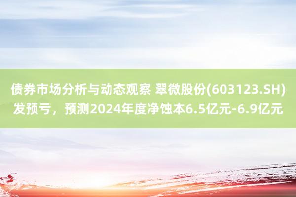 债券市场分析与动态观察 翠微股份(603123.SH)发预亏，预测2024年度净蚀本6.5亿元-6.9亿元