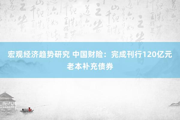 宏观经济趋势研究 中国财险：完成刊行120亿元老本补充债券