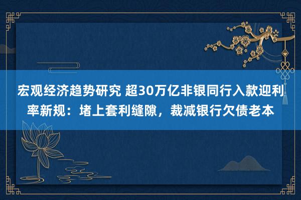 宏观经济趋势研究 超30万亿非银同行入款迎利率新规：堵上套利缝隙，裁减银行欠债老本