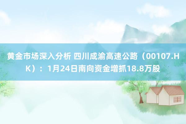 黄金市场深入分析 四川成渝高速公路（00107.HK）：1月24日南向资金增抓18.8万股