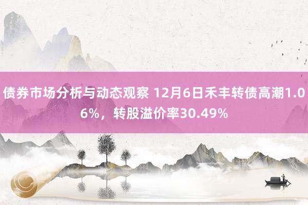 债券市场分析与动态观察 12月6日禾丰转债高潮1.06%，转股溢价率30.49%