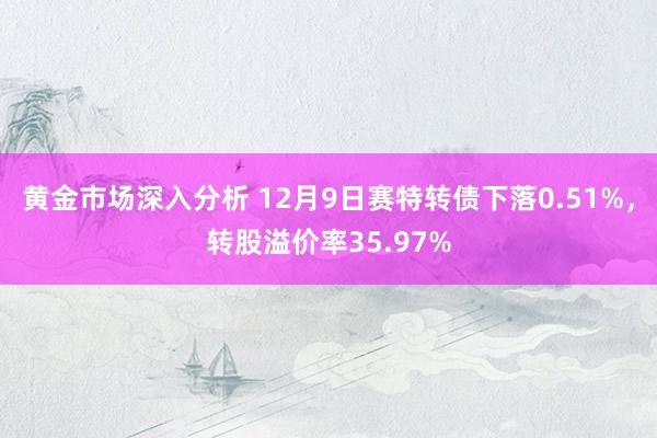 黄金市场深入分析 12月9日赛特转债下落0.51%，转股溢价率35.97%