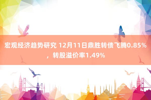 宏观经济趋势研究 12月11日鼎胜转债飞腾0.85%，转股溢价率1.49%