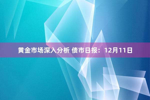 黄金市场深入分析 债市日报：12月11日