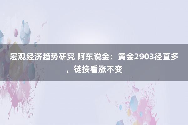 宏观经济趋势研究 阿东说金：黄金2903径直多，链接看涨不变