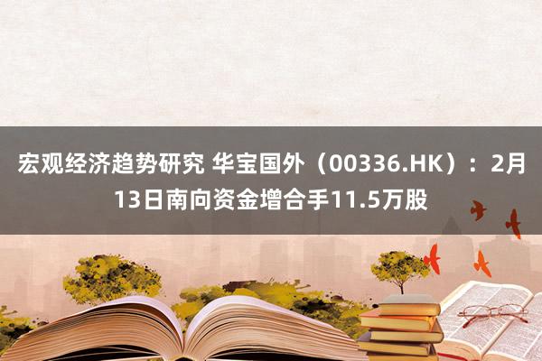 宏观经济趋势研究 华宝国外（00336.HK）：2月13日南向资金增合手11.5万股