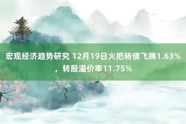 宏观经济趋势研究 12月19日火把转债飞腾1.63%，转股溢价率11.75%