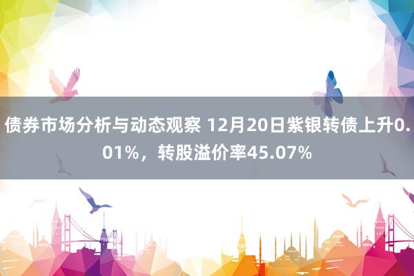 债券市场分析与动态观察 12月20日紫银转债上升0.01%，转股溢价率45.07%