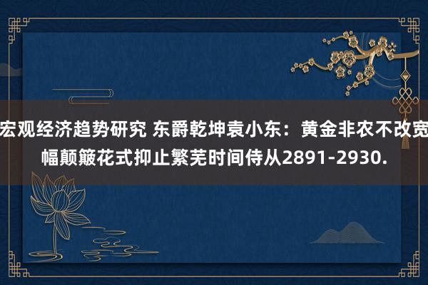 宏观经济趋势研究 东爵乾坤袁小东：黄金非农不改宽幅颠簸花式抑止繁芜时间侍从2891-2930.