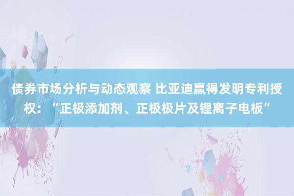 债券市场分析与动态观察 比亚迪赢得发明专利授权：“正极添加剂、正极极片及锂离子电板”