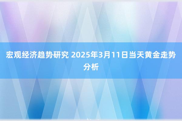 宏观经济趋势研究 2025年3月11日当天黄金走势分析