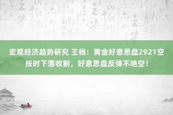 宏观经济趋势研究 王杨：黄金好意思盘2921空按时下落收割，好意思盘反弹不绝空！