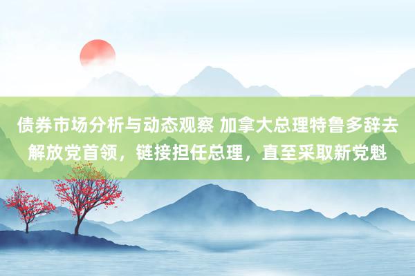 债券市场分析与动态观察 加拿大总理特鲁多辞去解放党首领，链接担任总理，直至采取新党魁