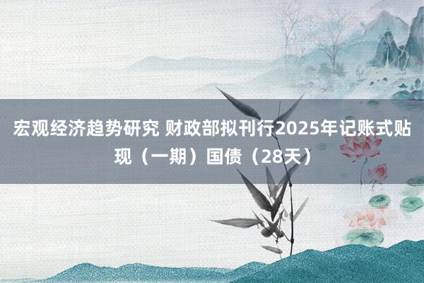 宏观经济趋势研究 财政部拟刊行2025年记账式贴现（一期）国债（28天）